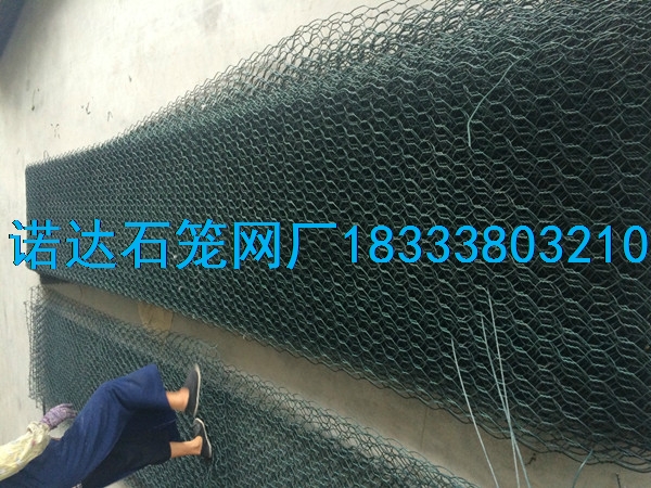 格宾网