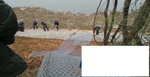 高尔凡雷诺护垫 高尔凡雷诺护垫